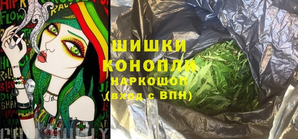 хмурый Нягань
