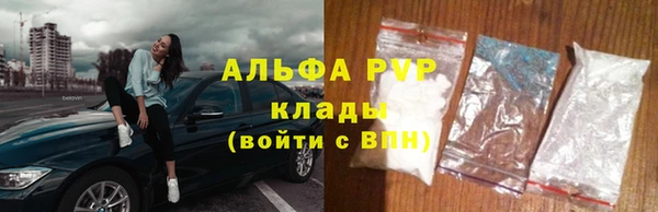 спайс Няндома