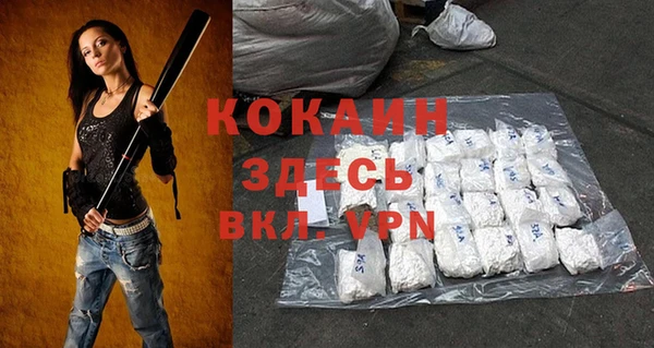 мет Новозыбков