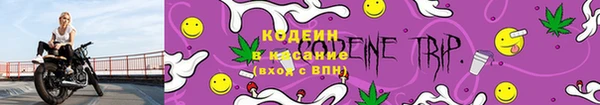 спайс Няндома