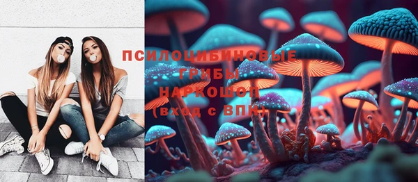 спайс Няндома