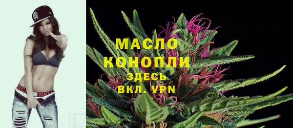 спайс Няндома