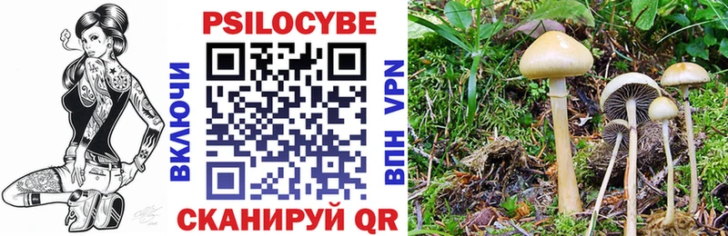 Псилоцибиновые грибы мицелий Мыски