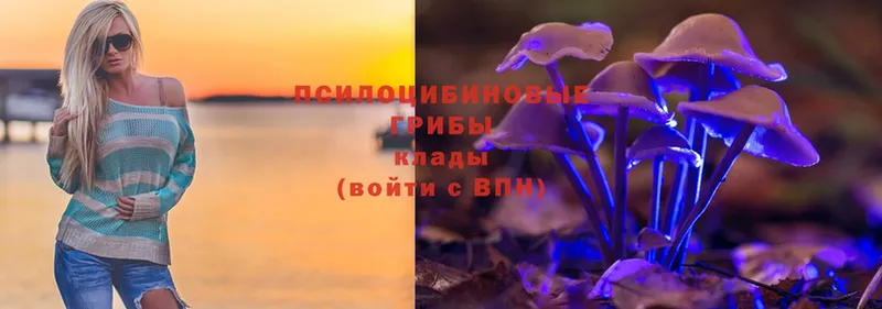 Псилоцибиновые грибы Magic Shrooms  Мыски 