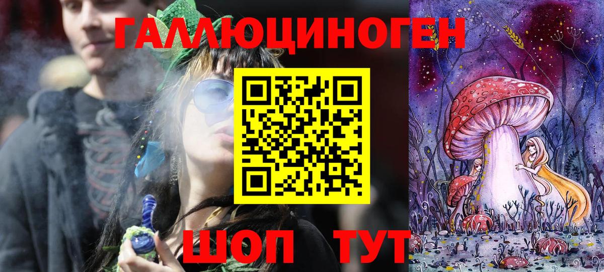 Мыски  Псилоцибиновые грибы Psilocybine cubensis  Вход с VPN 