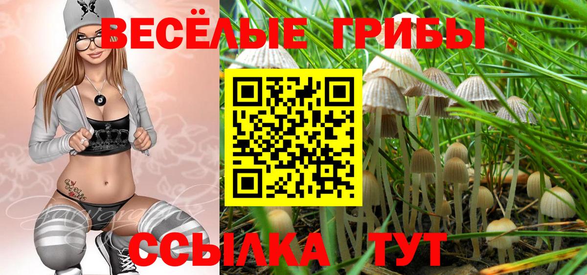 Галлюциногенные грибы Psilocybine cubensis Мыски